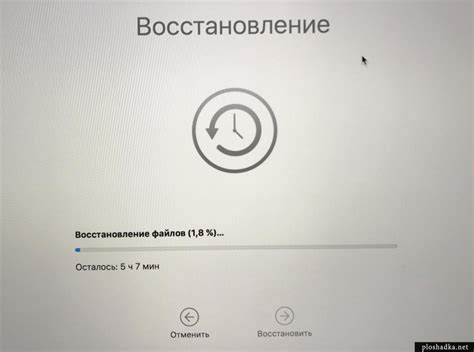 Восстановление корзины через Time Machine