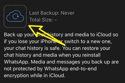 Восстановление WhatsApp через iTunes Backup