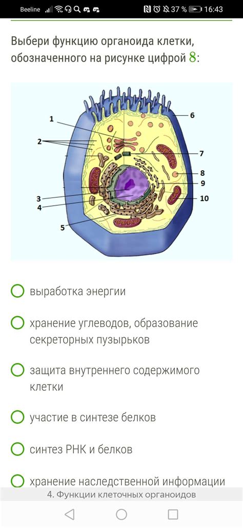 Выберите подходящее пространство