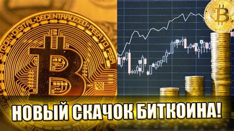 Выбор биткоин-трейдерской программы