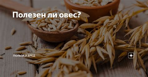 Выбор ингредиентов: какой овес и молоко выбрать для идеальной каши