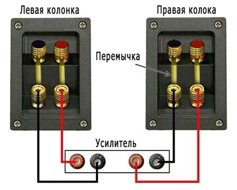 Выбор и подключение акустической системы