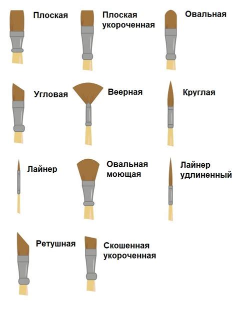 Выбор материалов для рисования Сэнди чикс