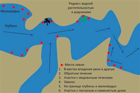 Выбор места: