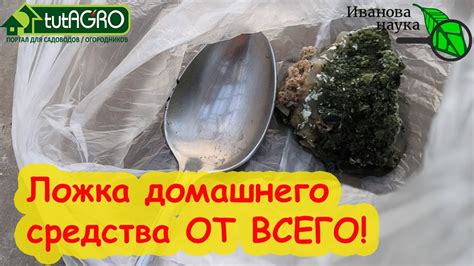 Выбор места для хранения триходермы