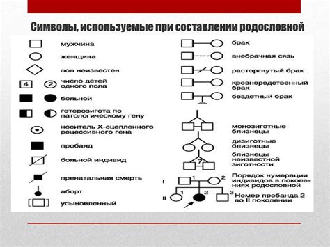 Выбор метода представления родословной