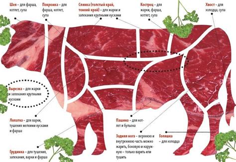 Выбор мяса для алании