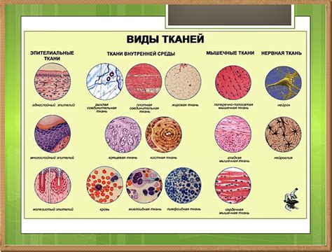 Выбор палочки и ткани