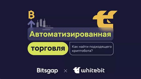 Выбор подходящего бота для рассылки