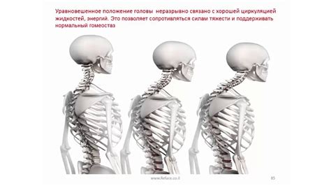 Выбор положения головы