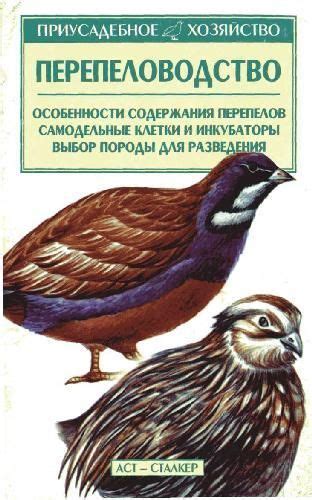 Выбор породы и подготовка клетки