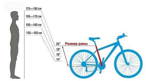 Выбор правильного размера велосипеда