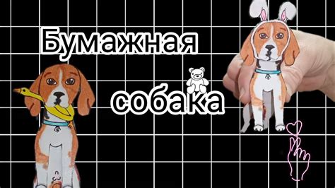 Выбор схемы и образца собаки