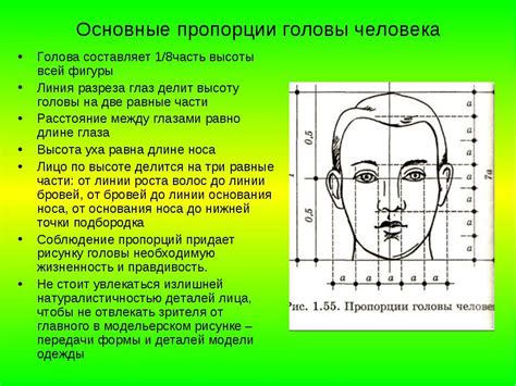 Выбор формы и пропорций: основные правила