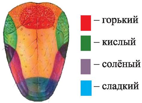 Выбор языка и зоны времени