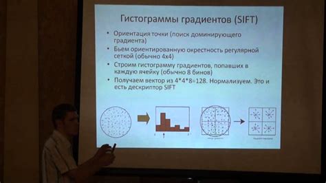 Выделение особых элементов бию