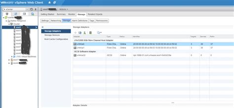 Где найти свой WWN ESXi в консоли?