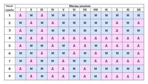 Гид по благоприятным месяцам для зачатия