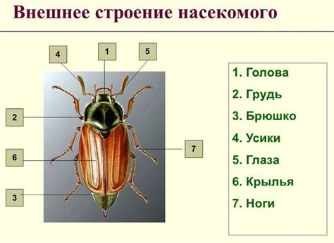 Главные признаки гаишников