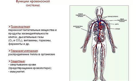 Главные функции гидрокомпенсатора