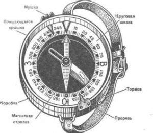 Градусная шкала компаса