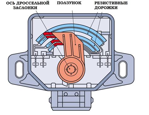 Датчик положения дроссельной заслонки