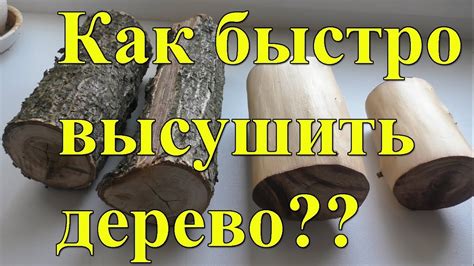 Дерево дома: как его высушить максимально быстро