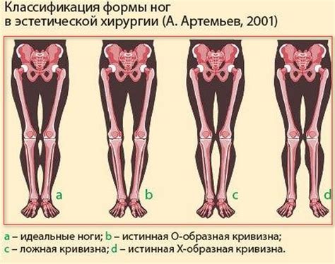 Детализация формы и структуры ног