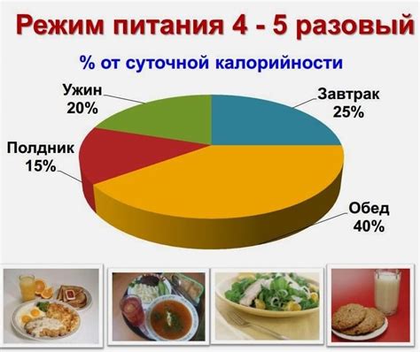 Диета и режим питания для собак с рвотой и поносом