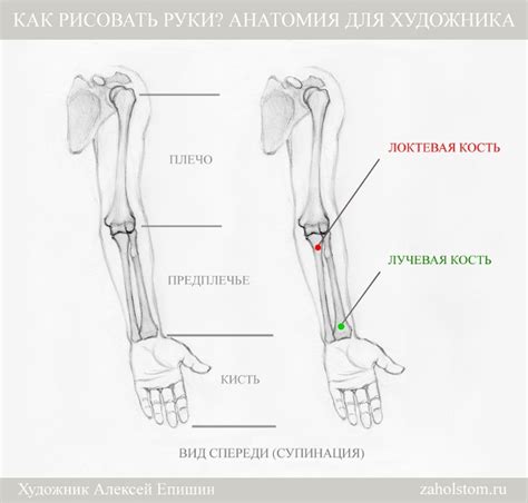 Добавьте объемные элементы руки