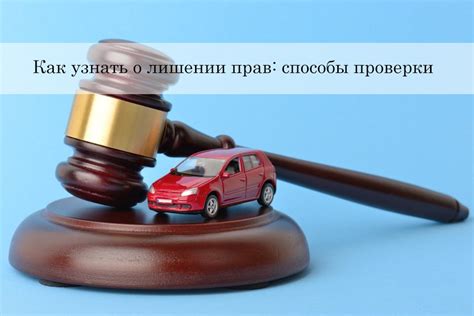 Документы для проверки лишения водительских прав