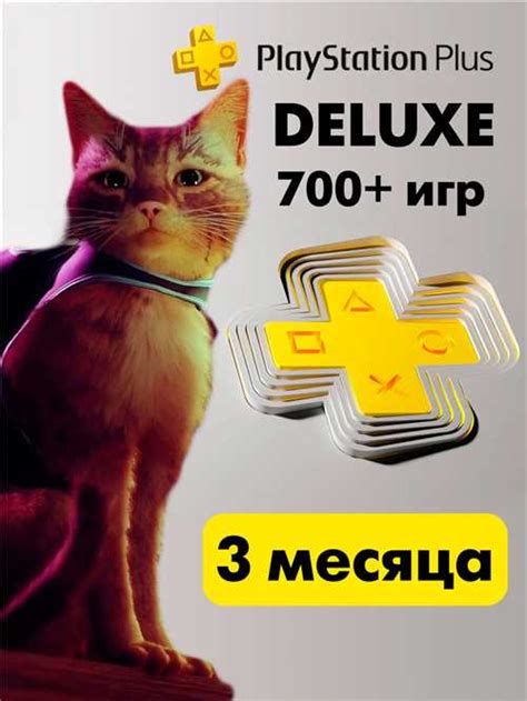 Дополнительные возможности с Ps Plus