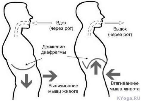 Дыхание животом для решения проблем со сном