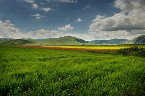 Дыхательные практики для улучшения когнитивных способностей