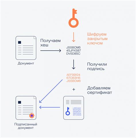 Завершение работы: подпись и подготовка к просмотру