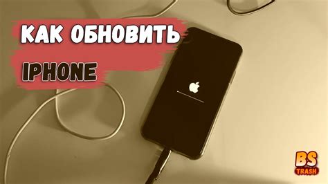 Загрузка и установка iOS 14