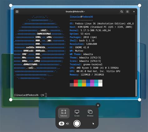 Загрузка Fedora Linux 36 на компьютер