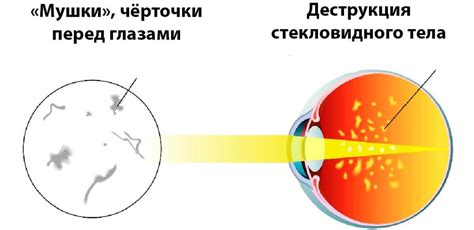 Задачи перед глазами Рейна