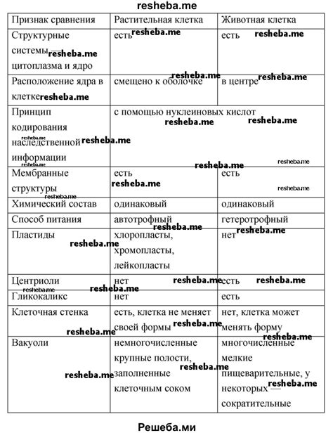 Заполнение клеток выбранными цветами и добавление деталей