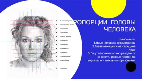 Запомните пропорции и форму головы