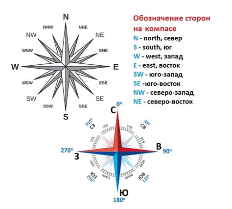 Зачем определять север и юг в лесу