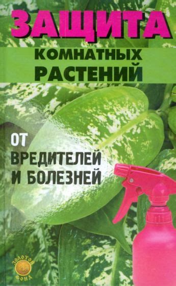 Защита араукарии от вредителей и болезней