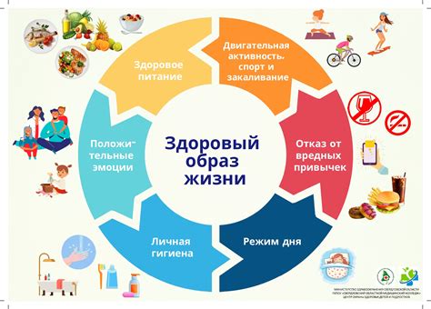 Здоровый образ жизни для успешного сохранения репродуктивности