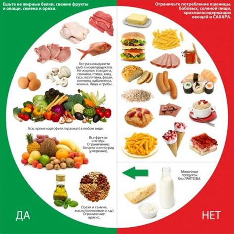 Здоровый образ жизни и правильное питание