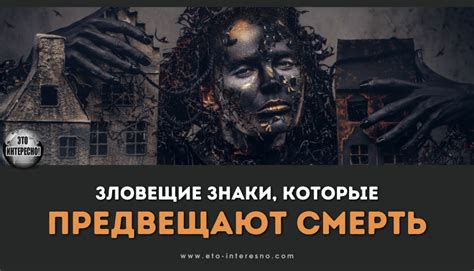 Зелья, способные излечить редкие болезни и проклятия