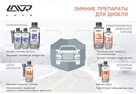 Зимние проблемы и их решение при уходе за аморфофаллусом