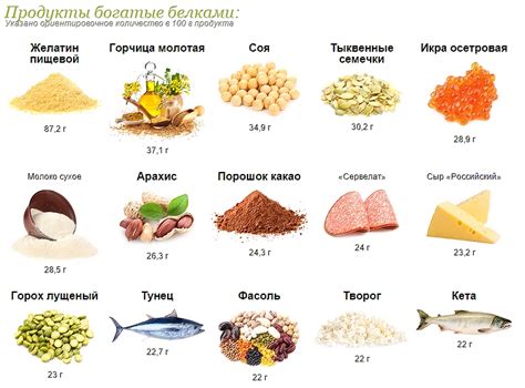 Значение белка в питании