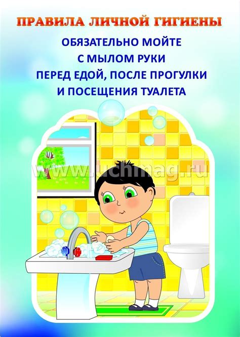 Значение гигиены и правила личной гигиены