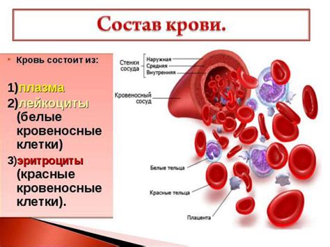 Значение крови как источника информации