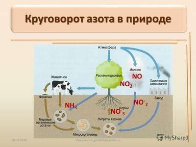 Значение определения азота в белке